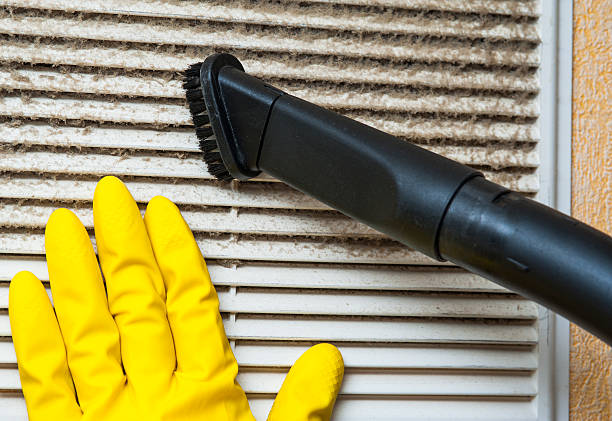 Best Dryer Vent Cleaning Services  in Liolnton, NC